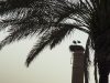 Noch vier Tage Foto­wett­be­werb "Die Atmo­sphä­re der Algarve"