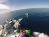 Wild­watch Algar­ve: Boots­tou­ren mit Mee­res­bio­lo­gen zu wil­den Del­fi­nen ent­lang der Felsküste