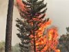 Algar­ve-Hotel von Wald­brand umzingelt
