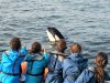 Orcas an der Algar­ve: Baby gerettet!