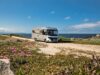 Grü­nes, lega­les Algar­ve-Cam­ping: Fünf Top-Tipps