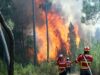 Hit­ze­wel­le in Por­tu­gal ver­schärft die Brandgefahr