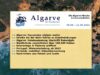 Algar­ve News vom 05. bis 11. Sep­tem­ber 2022