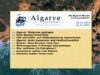 Algar­ve News vom 26. Dezem­ber 2022 bis 01. Janu­ar 2023