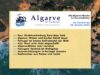 Algar­ve News vom 23. bis 29. Okto­ber 2023