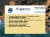 Algar­ve News vom 27. Novem­ber bis 03. Dezem­ber 2023