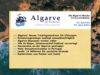 Algar­ve News vom 01. bis 07. April 2024